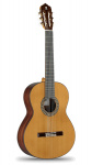 Классическая гитара Alhambra 6.209 Classical Conservatory 5P A