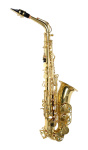 Pierre Cesar JBAS-270L альт саксофон Eb, лак