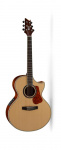 Электро-акустическая гитара Cort NDX-20-NAT NDX Series