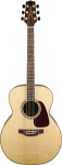 TAKAMINE G90 SERIES GN93 акустическая гитара