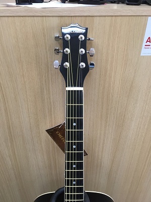 Акустическая гитара Colombo LF 4110 SB