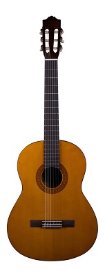 Yamaha C40