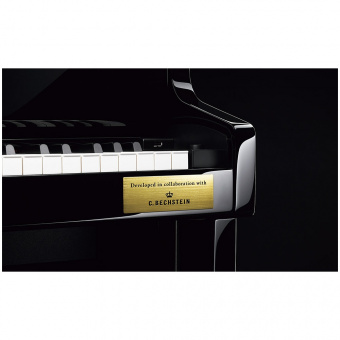 Casio Celviano Grand Hybrid GP-500