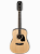 12-струнная акустическая гитара Ibanez PF1512-NT