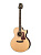 NDX-50-NAT-WBAG NDX Series Электроакустическая гитара Cort