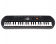 Casio SA-77 Casio SA-77