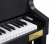Casio Grand Hybrid GP-300 Casio Grand Hybrid GP-300